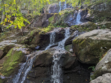 Shenandoah National Park, Zach Bryan, and a Few Unexpected Surprises