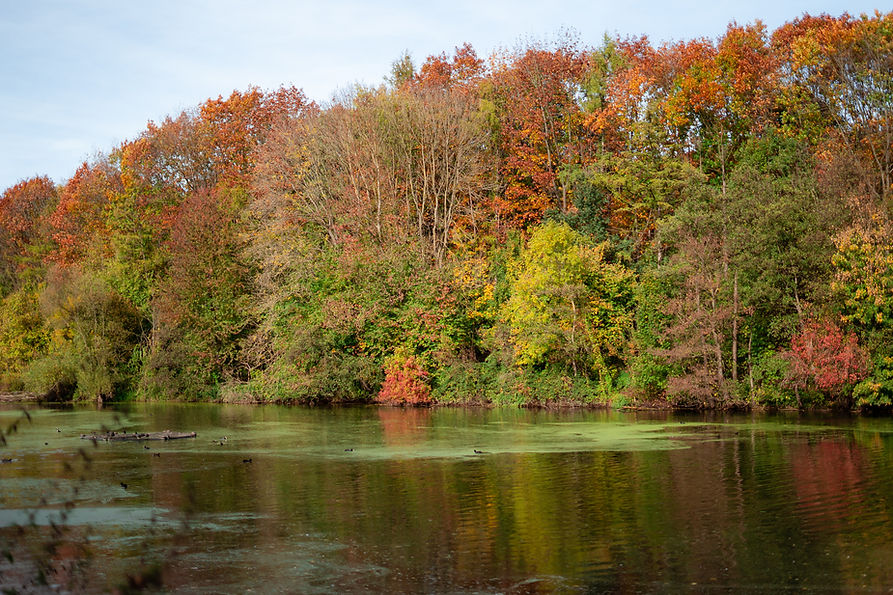 fiedler_26.10-37.jpg