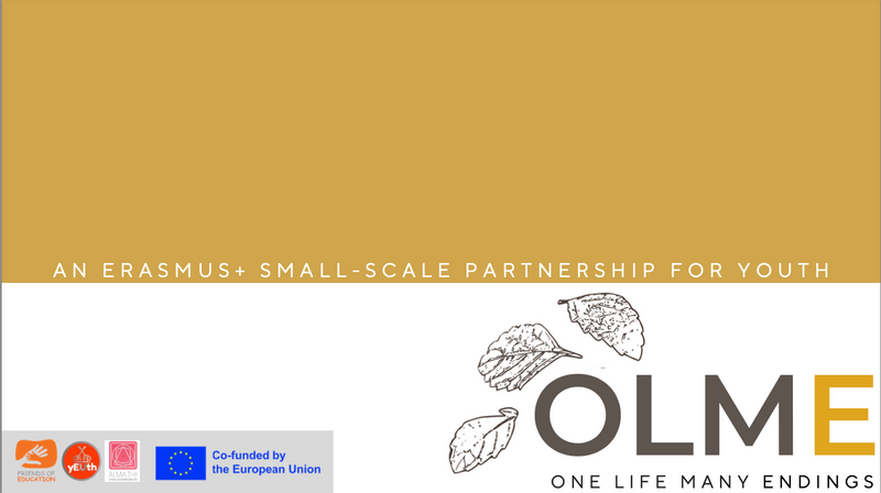 OLME – End Education Training for Youth Professionals