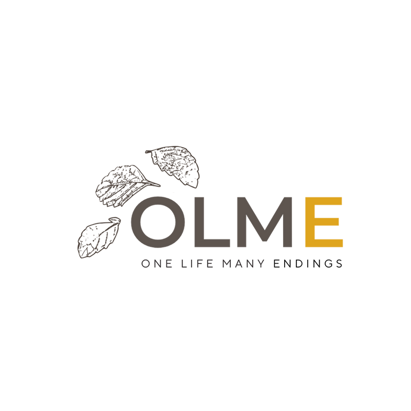 Writer: OLME PROJECT