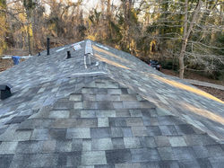 Insurance Repair Tree Atlanta 2023