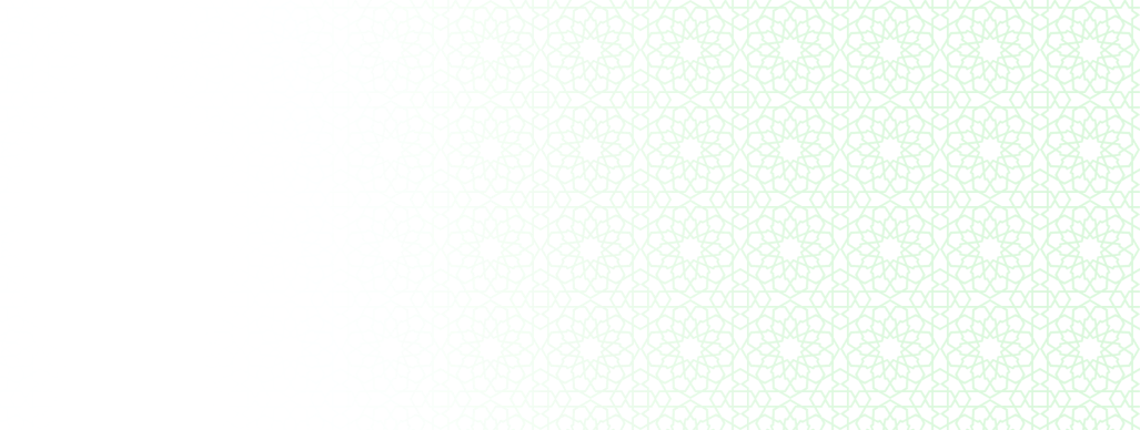 website background pattern_edited_edited.png