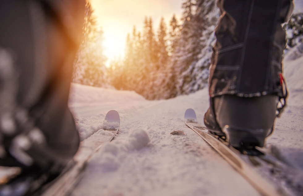 AdobeStock_249700277.jpeg