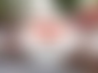 #GraphosCc #Tlx #Noticias #Municipios #Totolac | Camada Juvenil Ocotelulco hace un llamado a la unidad de las camadas de Totolac