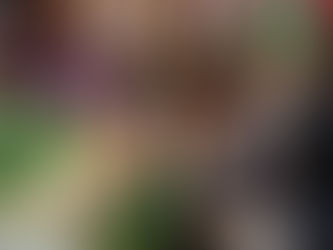 #GraphosCc #Tlx #Noticias #GobTlax | TLAXCALA INAUGURA EL MUNDIAL SOCIAL 2026 Y ANUNCIA LA REHABILITACIÓN DE 22 CANCHAS DE FUTBOL