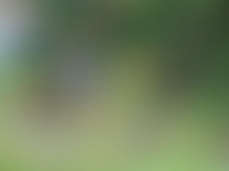 #GraphosCc #Tlx #Noticias #Municipios #TlaxcalaCapital |  ACTÚA GOBIERNO DE LA CAPITAL PARA PREVENIR INUNDACIONES Y DESAZOLVA COLADERAS EN PUNTOS ESTRATÉGICOS