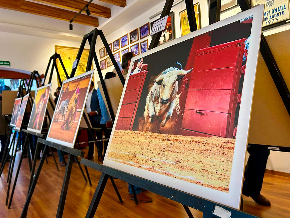 #GraphosCc #Tlx #Noticias #Municipios #Huamantla | EL MUSEO TAURINO SE VISTIÓ DE ARTE, FOTOGRAFÍA Y TRADICIÓN CON LA AGENDA CULTURAL TAURINA DE LA FERIA INTERNACIONAL DEL ARTE EFÍMERO Y LA DALIA 2026