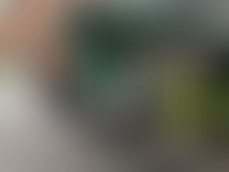 #AIGCcTlx | REPORTA CEPC SALDO BLANCO EN LOS FESTEJOS DEL 15 Y 16 DE SEPTIEMBRE