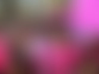 #GraphosCc #Tlx #Noticias #GobTlax | Carlos Augusto Pérez Hernández acompaña a la gobernadora Lorena Cuéllar en la “Caminata Rosa”