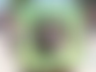 #AIGCcTlx | IMPARTE DIRECCIÓN DE SEGURIDAD PÚBLICA DE HUAMANTLA PLÁTICA DE CULTURA VIAL