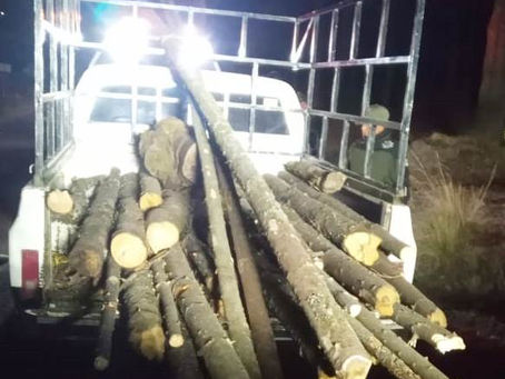 #AIGCcTlx | ASEGURA SSC MATERIAL FORESTAL EN EL PARQUE NACIONAL LA MALINCHE Y EN TLAXCO