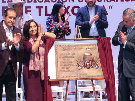 #GraphosCc #Tlx #Noticias #GobTlax | RECONOCEN Y PROTEGEN AL PULQUE DE TLAXCALA COMO PRODUCTO ÚNICO EN EL PAÍS