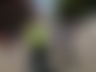 #AIGCcTlx | EN MARZO, CEPC ATENDIÓ +DE 100 ACCIONES PARA SALVAGUARDAR LA INTEGRIDAD DE LA POBLACIÓN