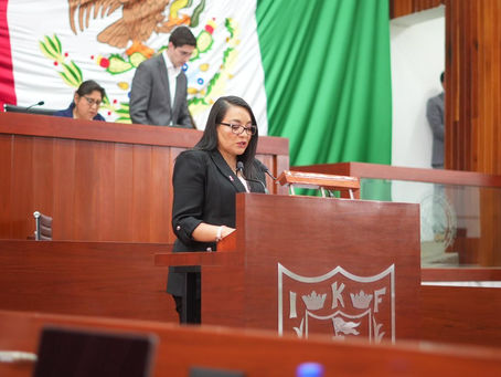 #GraphosCc #Tlx #Noticias | “Reforma a la Ley de Amparo representa un retroceso en la protección de los derechos humanos”: diputada Laura Flores Lozano