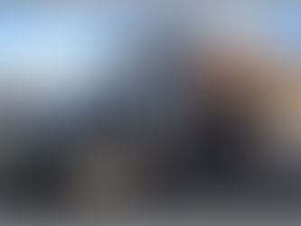 AIGCcTlx | SSC CONTINÚA CON ACCIONES PARA EL COMBATE DE TALA CLANDESTINA EN EL ESTADO