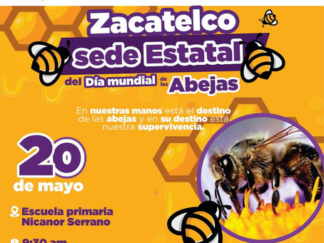 #GraphosCc #Tlx #Noticias #Municipios #Zacatelco | Zacatelco como sede estatal del Día Mundial de la Abeja, promoviendo su importancia