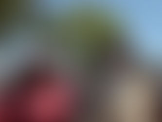 #GraphosCc #Tlx #Noticias | Puras vaciladas y mentiras ofrecen los partidos de oposición: Álvarez Lima