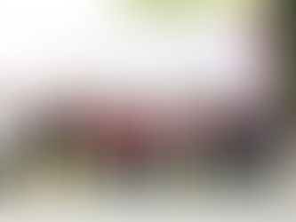 #GraphosCc #Tlx #Noticias | COBAT FSEDE DE LA OLIMPIADA MEXICANA DE MATEMÁTICAS 2023 ETAPA ESTATAL