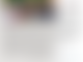 #GraphosCc #Tlx #Noticias #BarradeNoticias #Columna Pensar, decir y hacer: responsabilidad de la 4T |
Abrir el Congreso para fortalecer la democracia. Por Vicente Morales Pérez by #AIGCcTlx®