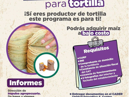 #GraphosCc #Tlx #Noticias #Municipios #Zacatelco | Gobierno de Zacatelco lanza programa para adquirir maíz a bajo costo.