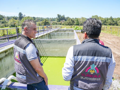 #GraphosCc #Tlx #Noticias #Municipios #TlaxcalaCapital | ALFONSO SÁNCHEZ GARCÍA CIERRA EL AÑO CON OBRAS DE BIENESTAR PARA LA CAPITAL