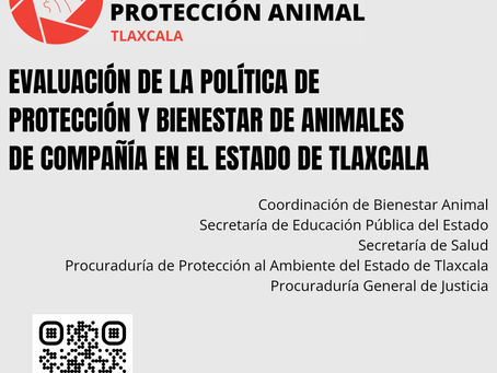 #GraphosCc #Tlx #Noticias | ORGANIZACIÓN HISPANOAMERICANA JUNTO AL
OCPA EVALÚA LA PROTECCIÓN ANIMAL