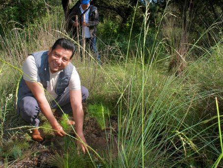 #GraphosCc #Tlx #Noticias | LA TRANSFORMACIÓN AMBIENTAL DEBE PASAR DE LA SIEMBRA A LA SUPERVIVENCIA DE LOS ÁRBOLES: CARLOS AUGUSTO