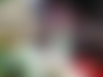 #GraphosCc #Tlx #Noticias #Yauhquemehcan | Yauhquemehcan Celebra el 215 Aniversario del Grito de Independencia