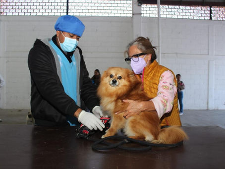 #GraphosCc #Tlx #Noticias #Municipios #TlaxcalaCapital | GOBIERNO DE ALFONSO SÁNCHEZ GARCÍA LLEVA A LOMA BONITA JORNADA GRATUITA DE VACUNACIÓN, DESPARASITACIÓN Y ESTERILIZACIÓN PARA PERROS Y GATOS
