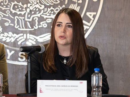 #GraphosCc #Tlx #Noticias | Fortalecen TSJE y CEDH el respeto de los derechos humanos en materia jurídica

• Imparten el taller “Aproximación a los Derechos Humanos, Deberes y Obligaciones del Estado”