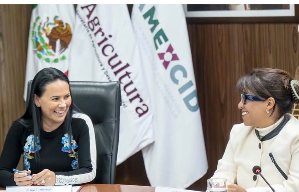 #GraphosCc #Noticias #GobMex #SADER #Nacionales | AGRICULTURA y Amexcid firman acuerdo para potenciar el campo mexicano