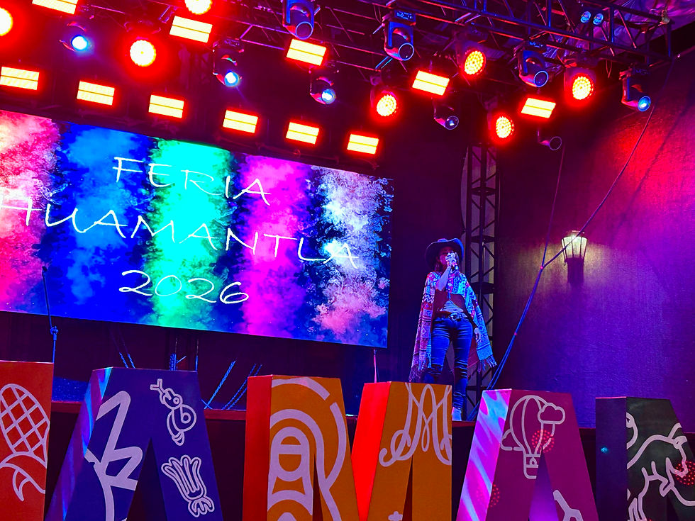 #GraphosCc #Tlx #Noticias #Municipios #Huamantla | EL ESCENARIO CULTURAL DE LA FERIA INTERNACIONAL DEL ARTE EFÍMERO Y LA DALIA VIVIÓ UNA NOCHE LLENA DE MÚSICA EN HUAMANTLA