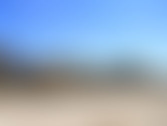 #AIGCcTlx | SSC DETUVO A PRESUNTO RESPONSABLE DE TRANSPORTE ILÍCITO DE RECURSO FORESTAL