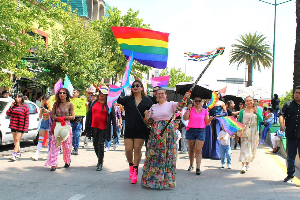 #GraphosCc #Tlx #Noticias | Sandy Aguilar acompaña la Marcha PRIDE Apizaco 2026