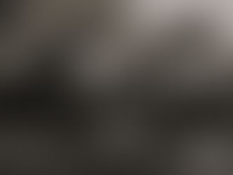 #GraphosCc #Tlx #Noticias | Publicaciones del INAH sobre Monumentos Históricos y Cultura Alimentaria, en la apertura de la FIL Minería