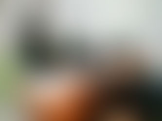 #GraphosCc #Tlx #Noticias #Municipios #TlaxcalaCapital | PRESIDENTE MUNICIPAL DE TLAXCALA ALFONSO SÁNCHEZ GARCÍA RECONOCE A CIUDADANOS QUE DIERON NUEVO HOGAR A CANES EN SITUACIÓN DE CALLE