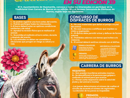 #GraphosCc #Tlx #Noticias #Municipios #Huamantla | CHAVA SANTOS INVITA A VIVIR LA TRADICIONAL CARRERA DE BURROS EN SU EDICIÓN 39