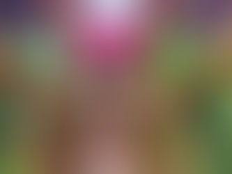 #GraphosCc #Tlx #Noticias #GobTlax | TLAXCALA SE PREPARA PARA CELEBRAR “LA FERIA DE FERIAS 2025”