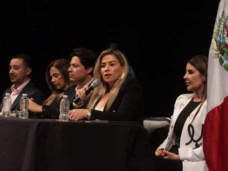 #GraphosCc #Tlx | Exponen buenas prácticas realizadas en Colombia para proteger los DH en ciudades
