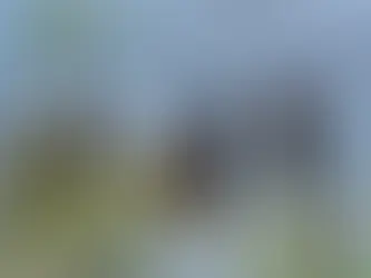 Greg Abbott’s Border Policy Is at Once Cruel and Ineffective. Many State Leaders Wouldn’t Have It An