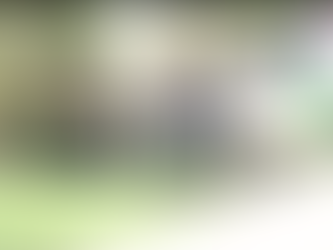 House bill would create new security force at Texas border