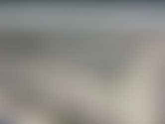 Texas Legislature Hits Final Stretch