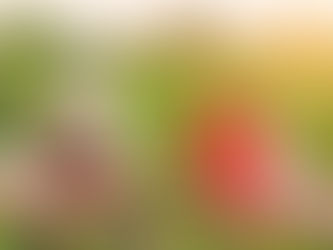 Texas legislature takes up anti-Asian bills