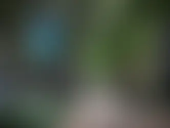 Race-based college admissions are now banned, but Texas schools still have ways to ensure campuse