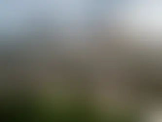 Texas Republicans ended a patchwork of local rules they say hurt business