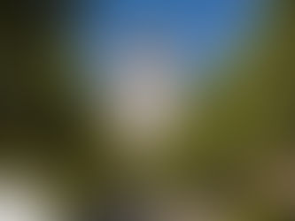 Explainer: What is a Special Session?