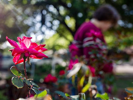 'A death sentence': Trans Texas teen plots his future as proposed ban on hormone therapy progresses