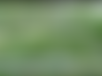 Bill to expand medical marijuana criteria moving forward in Texas Legislature