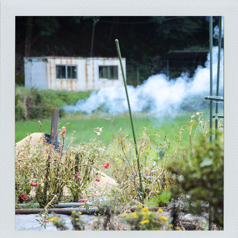 ポラロイド_焼き芋_5.png