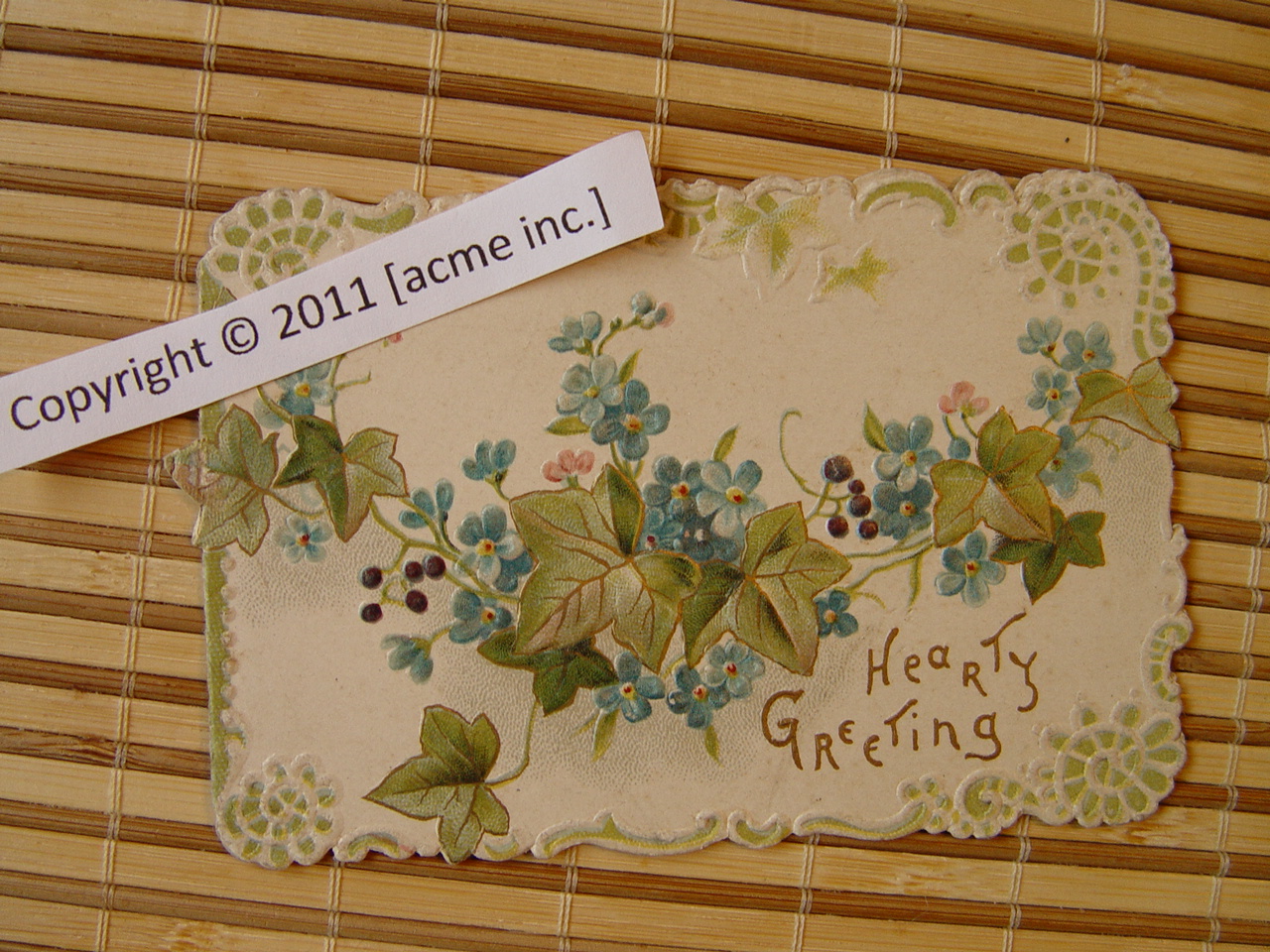 http://www.acme-inc.co.uk/greetingscards/DSC05474.jpg